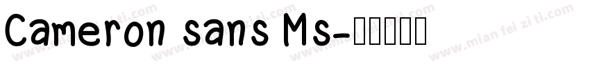 Cameron sans Ms字体转换
